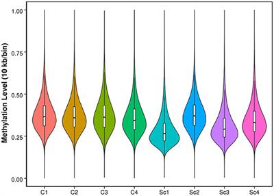 Genome-Wide Methylation Profiling in the Thalamus of Scrapie Sheep